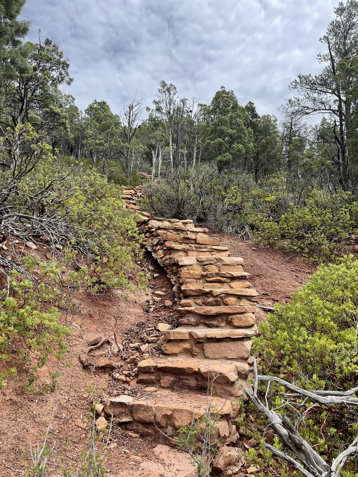 A broad stone staircase rises through natural vegetation, leading up a hill under a cloudy sky. The rugged path is surrounded by native plants and hints of forest, suggesting both a challenge and a direct connection to nature. The perspective is from the base, inviting viewers to imagine beginning a hike upward.