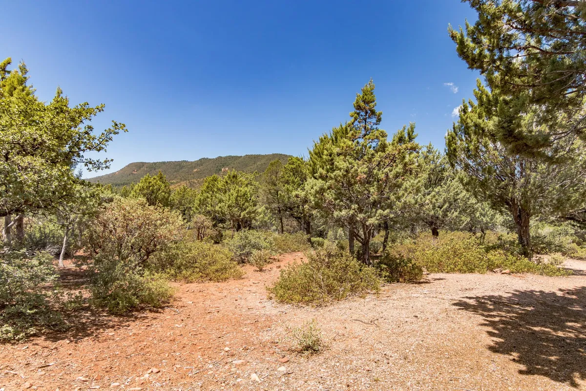 An expanse of lush greenery and rocky terrain stretches toward distant mountains under a serene sky. The landscape is rich with vegetation and hints at the presence of wildlife, evoking a sense of tranquility and wild beauty.