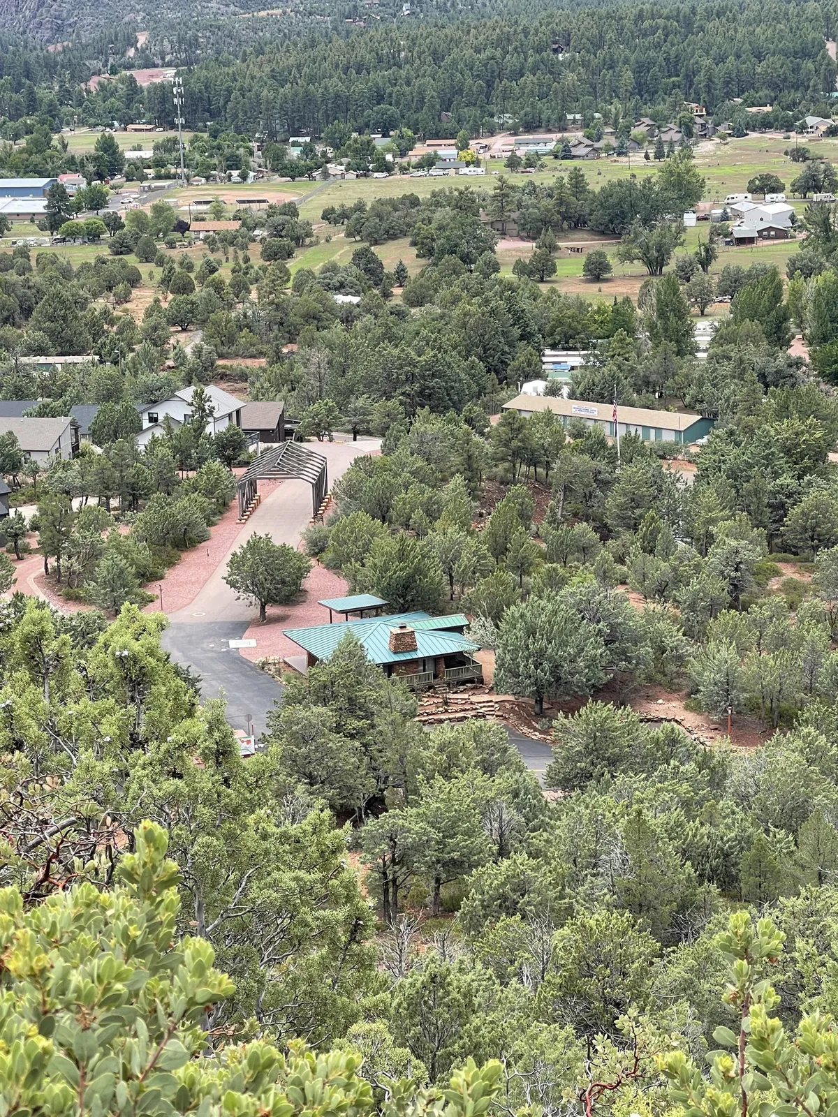 A peaceful exterior view featuring green roofs nestled among mature trees, winding roads meandering through the landscape, and distant homes, capturing the tranquil and inviting atmosphere of Pine. The surrounding nature hints at opportunities for scenic drives and outdoor relaxation.